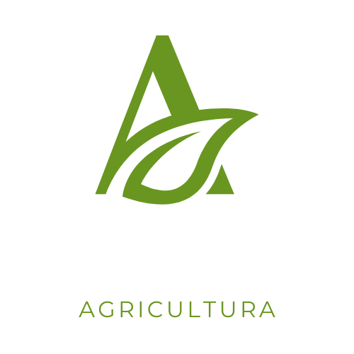 logo aurica